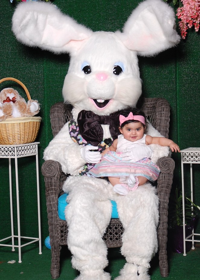 34cd7d7438a24379808d136be022d35e